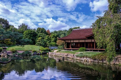 Japan America Society of Greater Philadelphia – Japan America Society of Greater Philadelphia Japanese Pond, Japanese House Garden, Pond Garden, Visit Philadelphia, Japanese Tea House, Natural Pond, Natural Swimming Pools, House And Garden, Garden Park