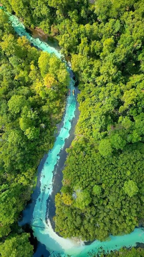 Welcome to Weeki Wachee Springs ✨ Weeki Wachee is one of Florida’s most beautiful springs, where you can see live mermaids, take a trip on a river boat cruise, learn about Florida wildlife, and swim in the pristine waters! Tag someone you want to visit with! 🎟️ $13 Adults | $8 Children 6+ | Free 5 Years & under 🧜‍♀️ Mermaid Show is offered at 11 AM, 1:30 PM & 3 PM ✍️ TIP: Arrive EARLY! Summer months are busiest and the park reaches capacity quickly 📍 Weeki Wachee Springs State Park | Spri Live Mermaids, River Boat Cruise, Weeki Wachee Florida, Florida Vibes, Spring Hill Florida, Florida Wildlife, Weeki Wachee, Florida Travel Guide, Boat Cruise