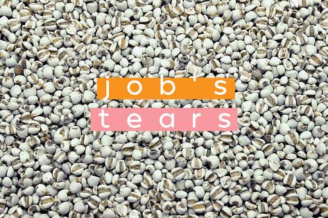 Job’s Tears Recipe, Jobs Tears, Barley Water, Making Drinks, Ale Recipe, Healthy Healing, Broom Corn, Job's Tears, Sweet Soup