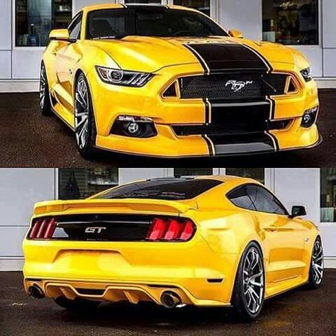 Mustang bumblebee was a mustang and  look how boss he is Yellow Mustang, Mustang Car Aesthetic, 2023 Ford Mustang, Black Mustang, Mustang Car, Mustang Gt500, Ford Mustang Car, Ford Mustang Shelby Gt500, Aesthetic Cool