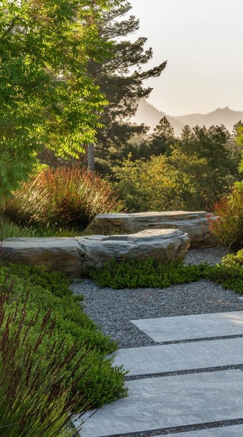 Wellness Garden Design, Rocks Around Pool, Landscape Boulders, Boulder Garden, Landscaping With Boulders, Landscape Stone, Dry Garden, Gravel Garden, Landscaping With Large Rocks