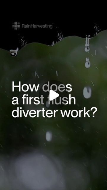 First Flush Diverters are a great way to protect your rain harvesting system from contaminants like dirt, bird droppings and even chemicals from roofing materials.  But how does a First Flush Diverter work?  #rainharvesters #rainharvesting #rainwaterharvesting #rainwatercollection #rainharvestingsystem #watertank #firstflush #firstflushdiverters Rain Harvesting, Rainwater Harvesting, Rain Water Collection, Roofing Materials, Water Tank, Chemicals, On Instagram, Instagram