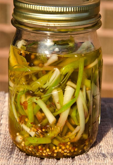 Pickled Ramps, Wild Onion, Munchies Recipes, Sam Jones, Freezing Food, Wild Onions, Canning Pickles, Canning Ideas, Refrigerator Pickles