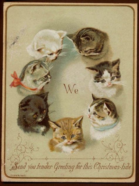 I’ve never been a fan of cats. If I got this card,... - Weird Christmas Old Fashioned Christmas, Cat Cards, Cats Illustration, Arte Animal, Christmas Postcard, Vintage Christmas Cards, Vintage Greeting Cards, Vintage Cat, Cat Illustration