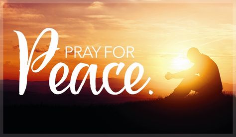 Pray for Peace Peace Quotes Bible, Finding Peace Quotes, Praying For Peace, Die To Self, Encouragement For Today, Scripture For Today, Deep Meaningful Quotes, Gratitude Challenge, Pray For Peace