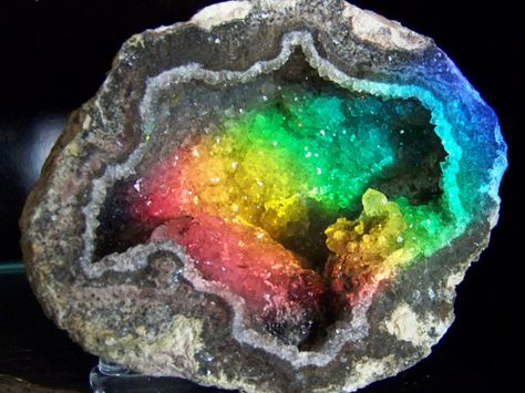 Rainbow Geode by Piedmont Fossil Rainbow Geode, Geology Rocks, Cool Rocks, Crystal Geode, Beautiful Rocks, Rainbow Crystal, Agate Geode, Minerals And Gemstones, Rocks And Gems