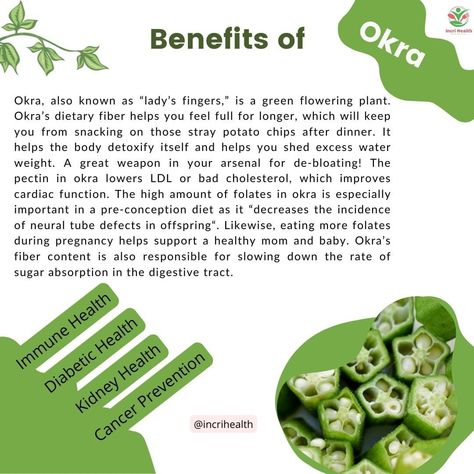 Okra Juice Benefits, Green Bean Benefits, Juicing Quotes, Okra Water Benefits, Green Beans Benefits, Okra Health Benefits, Beans Benefits, Okra Benefits, Okra Water