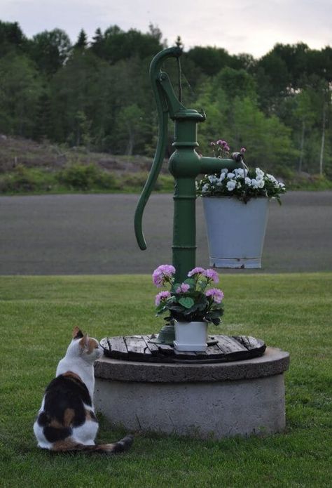 Make A Vintage Pump Well Pump Cover, Septic Tank Covers, Garden Water Pump, Old Water Pumps, Hand Water Pump, Backyard Garden Diy, Rustic Planters, Lawn Art, Pond Design