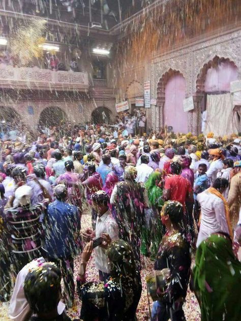 Holi at Bankey Bihari ji temple Vrindavan. Vrindavan Photography, Bankey Bihari, Bihari Ji, Happy Holi Video, Vrindavan Photography Pictures, Holi Pictures, Birthday Quotes For Her, Holi Images, Holi Colors