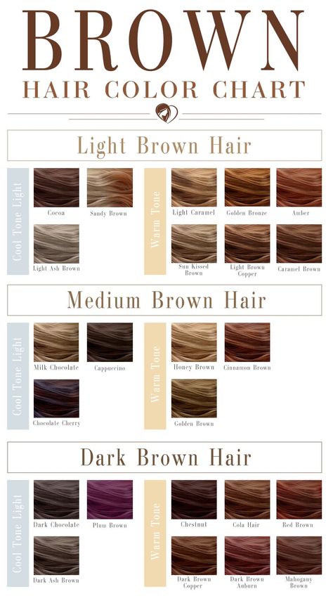 40 Shades Of Brown Hair Color Chart To Suit Any Complexion Brown Hair Chart, Sandy Brown Hair Color, Butterscotch Hair, Sandy Brown Hair, Brown Hair Color Chart, Medium Brown Hair Color, Cool Brown Hair, Hair Chart, Danielle Victoria