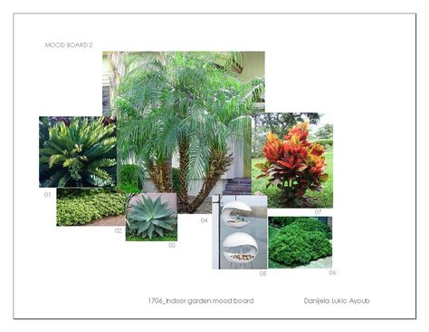 Board Landscape Architecture, Mood Board Landscape, Tropical Mood Board, Landscape Tropical, Mood Board Design, Landscape Architect, Indoor Garden, Winter Style, Landscape Architecture