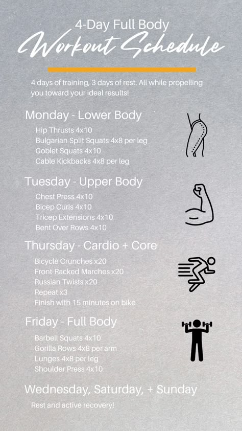 Want to work out but only have 4 days a week to do it? No worries! This 4 day workout schedule helps to provide a guideline for a weekly exercise plan that will help you reach your goals under your conditions. Monday, Tuesday, and Friday are all days for strength training, focusing on a leg workout, upper body workout, and full body workout, respectively. Thursday gives you some variety with cardio and a core workout to help keep you balanced! This weekly workout schedule is a perfect way to get started toward your goals, especially since summer 2024 is just around the corner! #workoutplan #exerciseplan #workoutschedule #weeklyworkouts #strengthtraining #fitnessinspo #summer2024 #personaltraining #fullbodyworkout #exercise Full Body Workout Schedule, Body Workout Schedule, Weekly Exercise Plan, 4 Day Workout, Weekly Workout Schedule, Gym Workout Plan, Workout Gym Routine, Gym Workout Plan For Women, Body Toning