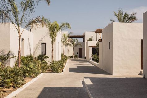 Casa Cook Kos, Casa Cook Hotel, Kos Hotel, Masterplan Architecture, Architecture Restaurant, Casa Cook, Restaurant Architecture, Hotel Architecture, Desert Homes