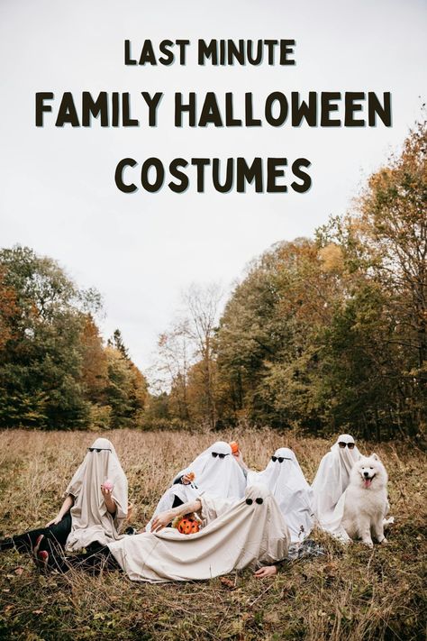 Last Minute Family Halloween Costume Ideas - Celebrating Halloween Family Ghost Costume, Last Minute Family Halloween Costumes, Halloween Costumes Kids Homemade, Family Halloween Costume Ideas, Family Halloween Costume, Quick Halloween Costumes, Animal Face Mask, Haunted Attractions, Halloween Stories