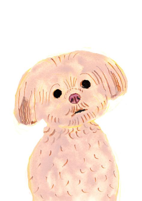 Shih Tzu | Itsuko Suzuki | Flickr Shih Tzu Art, 강아지 그림, Fashion Wall Art, Dog Illustration, Pink Dog, Dog Drawing, Animals Images, Dog Portraits, Animal Illustration