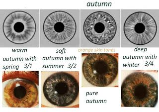 expressing your truth blog: Eye Types & Iridology Seasonal Analysis, Eye Types, Soft Autumn Deep, Eye Color Chart, Soft Autumn Color Palette, Summer Eyes, Colour Analysis, Color Forecasting, Types Of Eyes