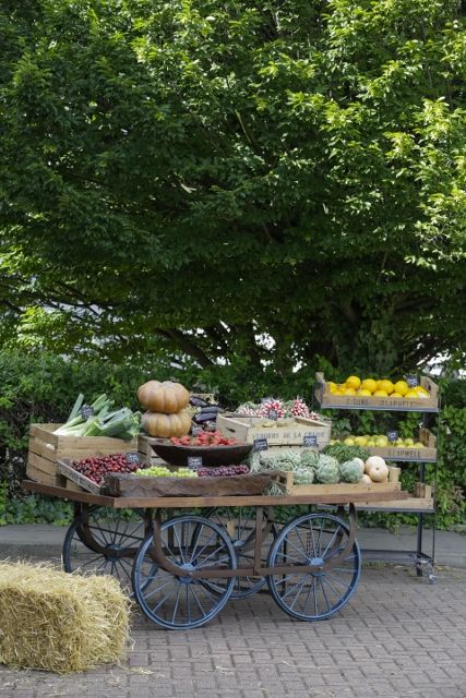 Use this beautiful vegetable crate to wheel your products in and out of markets! Available now at WBC Farmers Market Display, Display Tables, Moodboard Design, Produce Stand, Vegetable Stand, Wooden Cart, Vegetable Crates, Vegetable Shop, Market Table