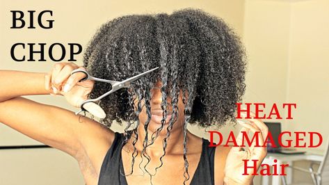 BIG CHOP 2016 On My HEAT DAMAGED HAIR [Video] - https://blackhairinformation.com/video-gallery/big-chop-2016-heat-damaged-hair-video/ Damaged Black Hair, Heat Damaged Natural Hair, Damaged Natural Hair, Natural Hair Updo Wedding, Big Chop Natural Hair, Vinegar For Hair, Apple Cider Vinegar For Hair, Heat Damaged Hair, Hair Color Remover