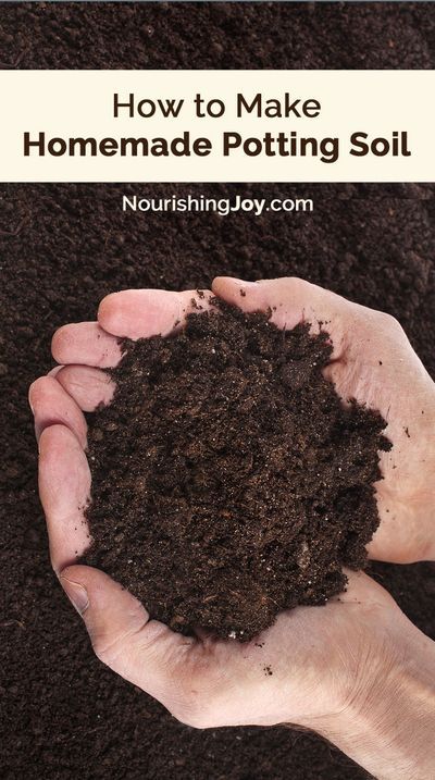 Compost Soil, Homestead Gardens, Garden Compost, Soil Health, Soil Improvement, Beach Gardens, Garden Soil, Growing Food, How To Make Homemade