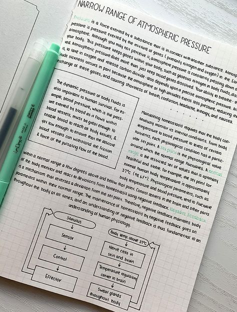 I Hadn't Written Anything In Super Long So I Broke That Streak Today Japanese Handwriting, Studera Motivation, Handwriting Examples, Perfect Handwriting, Pretty Handwriting, Print Handwriting, Neat Handwriting, School Organization Notes, Beautiful Handwriting