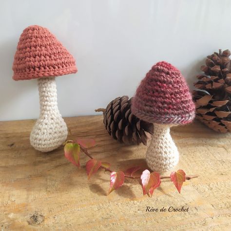 Mushrooms Crochet, Vegetables Pattern, Crochet Vegetables, Half Double Crochet Decrease, Boho Tassels, Double Crochet Decrease, Food Pattern, Toys Ideas, Crochet Idea