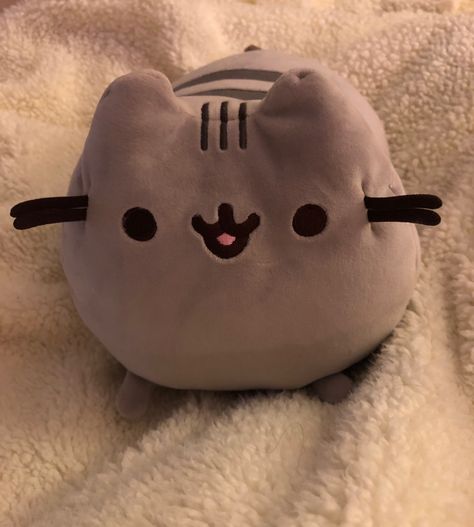 Pusheen Profile Picture, Pusheen Icon, Pusheen Aesthetic, Pusheen Pfp, Pusheen Cat Plush, Pusheen Plush, Pusheen Cute, Sleeping Bear, Pusheen Cat