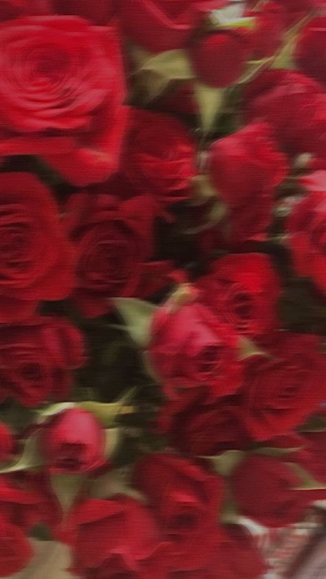 Red Flower Wallpaper, Red Roses Wallpaper, Romantic Wallpaper, Piece Of Advice, Flowers Photography Wallpaper, Rosé Aesthetic, Simple Phone Wallpapers, Simple Iphone Wallpaper, Romantic Mood