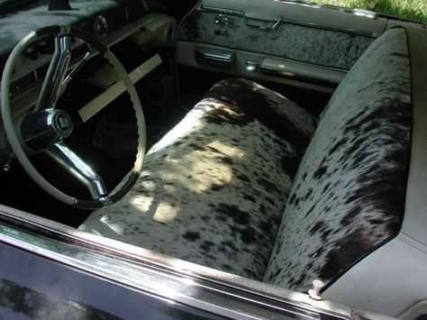 Interior <3 Squarebody Interior Ideas, Old Car Interior Ideas, Cowhide Truck Interior, Cowhide Car Interior, Truck Decorations Interior Western, Country Truck Interior, Old Truck Interior, Truck Headliner Ideas Western, Cow Print Truck Interior