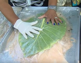 Leaf Casting, Cement Leaves, Concrete Leaves, Cement Garden, Elephant Ear Plant, Concrete Diy Projects, Outdoor Crafts, Cement Planters, Concrete Crafts