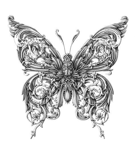 Incredibly Intricate Renaissance-Style Insect Drawings by Alex Konahin | Bored Panda Insect Drawings, Ballpoint Pen Art, Doodle Tattoo, Belly Jewelry, Fine Art Drawing, Black Artwork, India Ink, Ink Illustrations, Pen Art