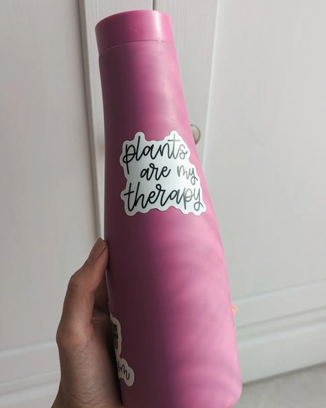 Stickers have held up really well on my water bottle! They still look brand new ✨ Hold Ups, Hold On, Water Bottle, Brand New, Water, Plants, Quick Saves