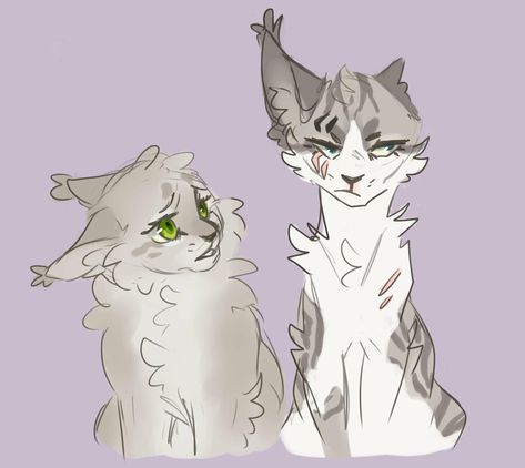 Warrior Cats Series, Warrior Cats Books, Warrior Cats Fan Art, Warrior Cat Drawings, Cat Oc, Warrior Cats Art, Cats Artists, Cat Character, Feral Cats