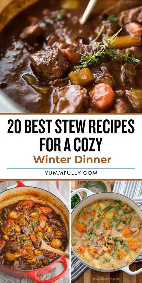 Warm up your winter nights with these hearty and delicious Stew Recipes. From classic beef stew to Puerto Rican sancocho, these recipes promise a comforting and satisfying meal that will keep you warm and content on chilly evenings. Best Stew, Cozy Winter Dinner, Classic Beef Stew, Winter Dinner, Winter Nights, Beef Stew, Puerto Rican, Cozy Winter, Stew Recipes