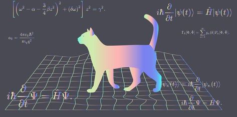 Could Schrödinger's cat exist in real life? Our research may soon provide the answer Schrodinger Cat, Schrodinger's Cat, Wave Function, Quantum World, Schrödinger's Cat, Quantum Entanglement, General Relativity, Thought Experiment, Kuantan