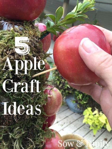 5 Apple Craft Ideas, recipes and decor! Dried Apples Decoration, Apple Table Centerpieces, Red Apple Centerpiece Ideas, Apple Basket Decor Ideas, Fall Apple Centerpieces For Table, Decorating With Apples For Fall, Apple Orchard Decor, Apple And Sunflower Decor, Apple Decor Diy