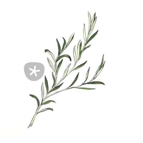 rosemary Rosemary Illustration, Rosemary Tattoo, Herb Tattoo, Rosemary Flower, Rosemary Herb, Art Wave, 자수 디자인, Botanical Drawings, Tiny Tattoos