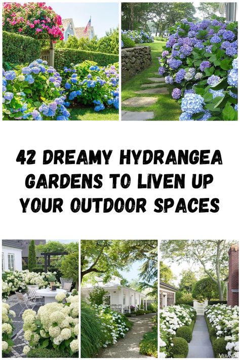 If you’re looking for a way to add a touch of romance and whimsy to your garden, look no further than hydrangeas.… Porch Hydrangeas, Hydrangea Flower Bed, Hydrangea Planters, Boarder Plants, Bloomstruck Hydrangea, Accent Plants, Boxwood Landscaping, Hydrangea Tree, Hydrangea Landscaping