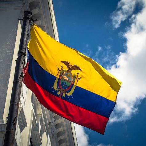 Ecuadorian Culture, Ballet Hispanico, Ecuadorian Flag, Day In New York City, Ecuador Flag, Modest Casual, Afro Cuban, Inca Empire, African Diaspora