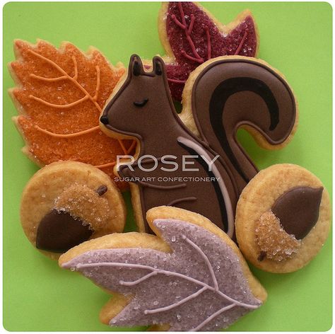 squirrel Squirrel Cookies, Autumn Cookies, Fall Decorated Cookies, Thanksgiving Cupcakes, Iced Sugar Cookies, Thanksgiving Cookies, Sugar Cookie Designs, Pretty Cookies, Fall Cookies