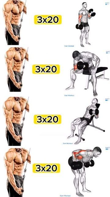 Arm Muscle Workout, Biceps Workout Gym, Biceps Triceps Workout, Biceps Workout At Home, Arm Workout Gym, Big Biceps Workout, Workout Arms, Tricep Workout, Bicep Workout