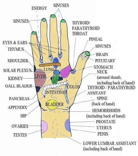 . Acupressure Points Chart, Acupressure Chart, Massage Pressure Points, Reflexology Points, Pressure Point Therapy, Foot Reflexology Massage, Acupressure Therapy, Hand Reflexology, Reflexology Chart