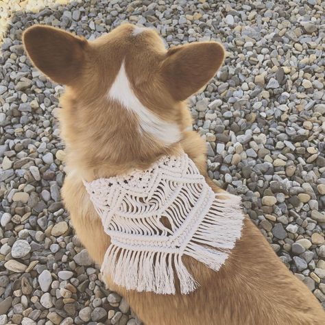 Macrame Dog Harness, Macrame Dog Bandana, Dog Collar Wedding, Bohemian Crafts, Bandana For Dogs, Boho Dog, Macrame Boho, Zentangle Drawings, Boho Macrame