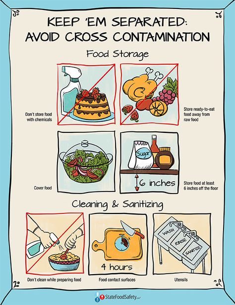 Keep ‘Em Separated Poster | Keep foods separated during storage and preparation to avoid cross-contamination. Download this free poster and use it to teach about cross-contamination. | StateFoodSafety.com Food Safety Posters, Food Safety And Sanitation, Food Safety Training, Food Safety Tips, Culinary Classes, Kitchen Safety, Importance Of Food, Food Tech, Food Technology