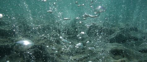 Research Finds Human Activity Has Increased Ocean Acidification Plymouth University, Ocean Acidification, Arctic Sea, Environmental Problem, Human Activity, Carbon Dioxide, Earth Science, Sea Animals, Adaptation