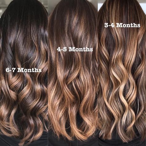 HAIRSTYLIST | EDUCATOR’s Instagram photo: “Balayage Maintenance💥 6 Months 👉🏼 This is an example of a high contrast placement on a natural level 4 client. This can be adjusted…” Level 6 Hair Color With Highlights, Level 6 Hair, Level 6 Hair Color, Warm Light Brown Hair, Highlights For Dark Brown Hair, Hair Colouring, Brunette Hair With Highlights, Balayage Hair Dark, Hair Dark