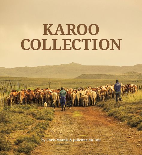 A free e-Book from Karoo Space, a look-see into the five volumes in our brand new Karoo Space e-Bookstore. Order now: www.karoospace.co.za Karoo Landscape, Africa Vintage, Farm Scenes, Smell Of Rain, South African Art, Natural Disaster, South African Artists, South Africa Travel, Eastern Cape