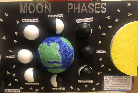 Moon Phases School Project Moon Phase Science Project, Moon Phase School Projects, Lunar Cycle Project, Moon Phases Project Ideas, Moon Phases School Project, Moon Phase Project Ideas, Moon School Project, Moon Phases Model Project, Moon Phases Science Project