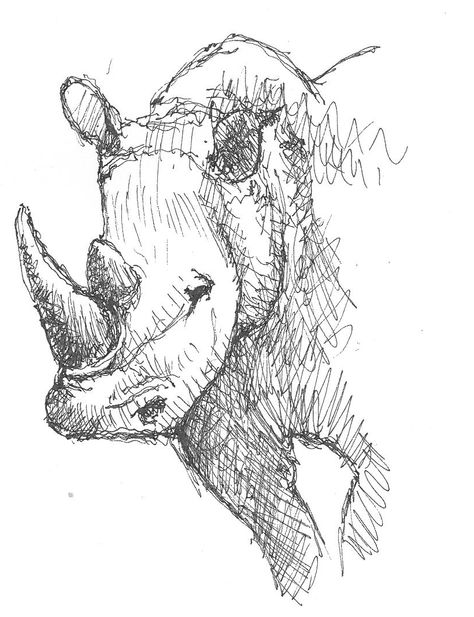 Rhino Sketch. On safari in South Africa. Safari Sketch, Rhino Sketch, Africa Drawing, Rhino Art, Africa Tattoos, Safari Art, Africa Animals, Scribble Art, Pen Art Drawings