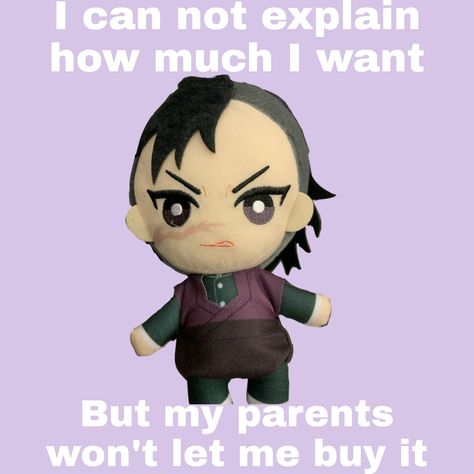 Ganya plushie Genya Plushie, Shinazugawa Brothers, Genya Shinazugawa, Great Memes, You Dont Want Me, My Parents, Slayer Anime, Another One, Get Over It