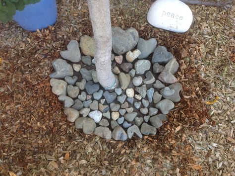 Displaying some of my heart rocks around my peach tree :):):) Rock Display Ideas Outdoor, Heart Rock Garden Ideas, Heart Rock Garden, Heart Shaped Rocks Display, Heart Rocks Display Ideas, Rocks Display, Rock Backyard, Heart Rocks, Heart Stones